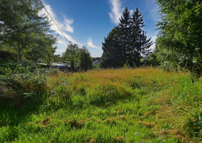 MFH Schönheide